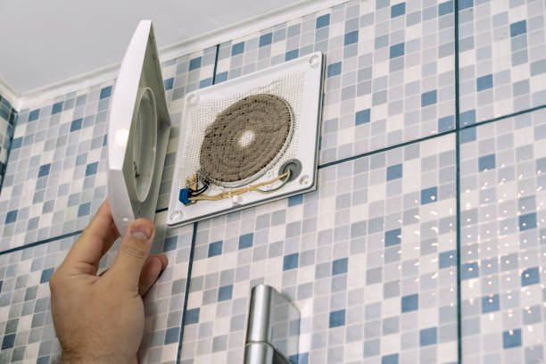 Best Ductwork Cleaning Services  in Goldstream, AK