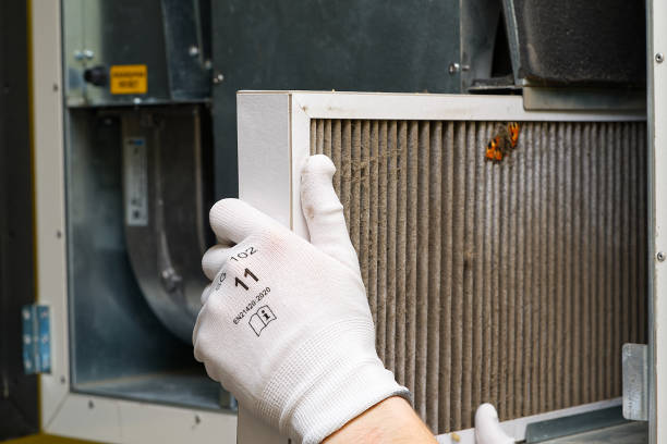 Best Air Duct Cleaning Near Me  in Goldstream, AK