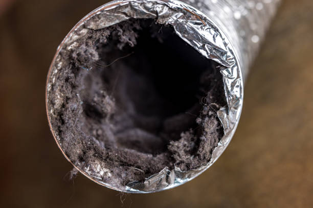 Best Local Air Duct Cleaning Services  in Goldstream, AK